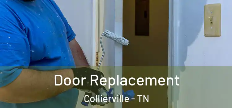  Door Replacement Collierville - TN