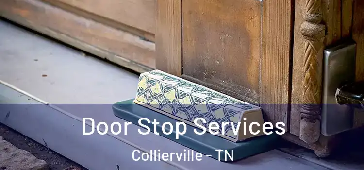 Door Stop Services Collierville - TN