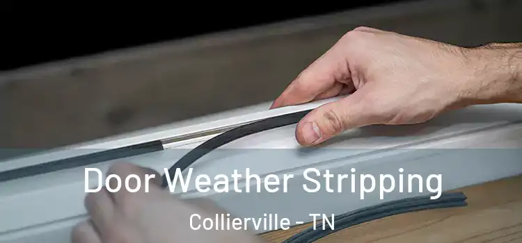Door Weather Stripping Collierville - TN