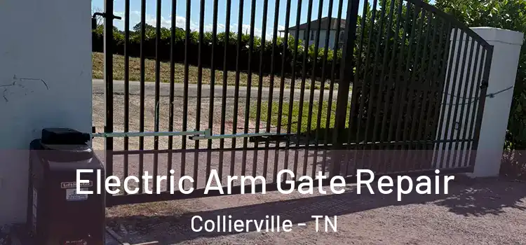 Electric Arm Gate Repair Collierville - TN