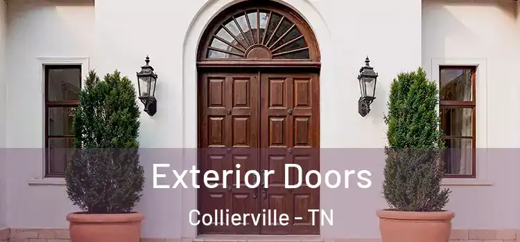 Exterior Doors Collierville - TN