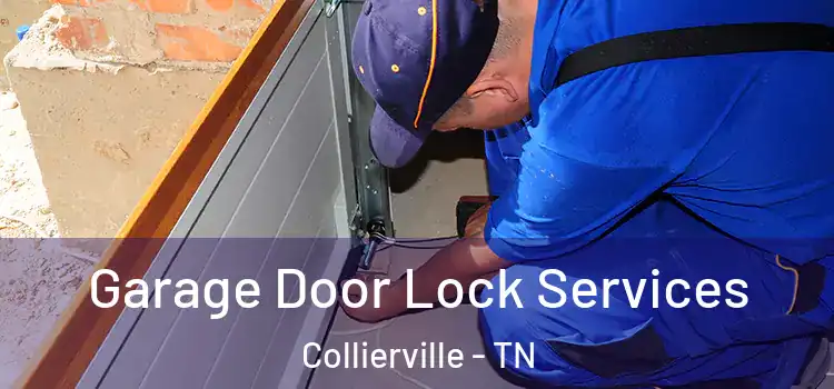 Garage Door Lock Services Collierville - TN