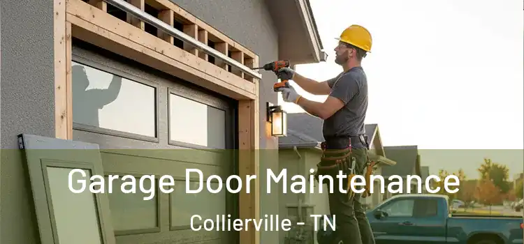 Garage Door Maintenance Collierville - TN