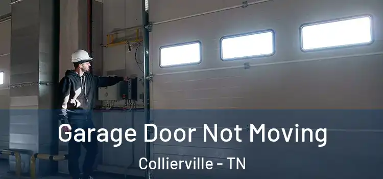  Garage Door Not Moving Collierville - TN