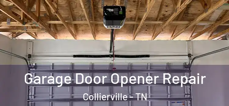  Garage Door Opener Repair Collierville - TN