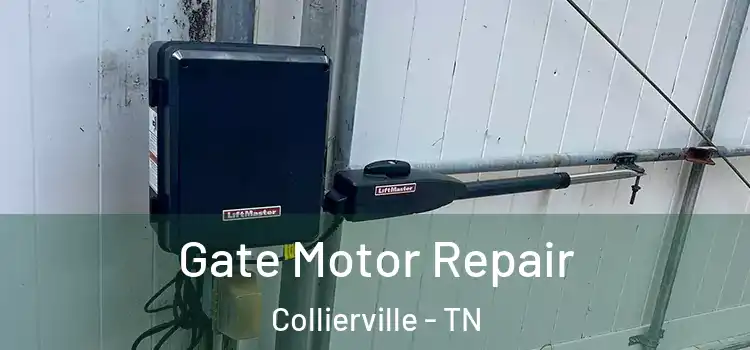 Gate Motor Repair Collierville - TN