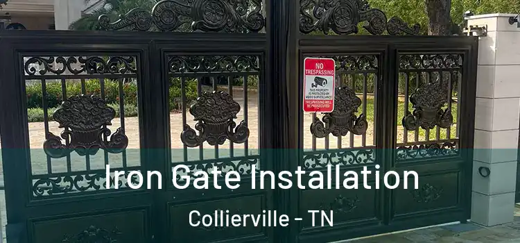 Iron Gate Installation Collierville - TN