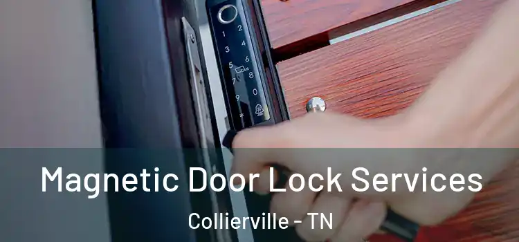 Magnetic Door Lock Services Collierville - TN
