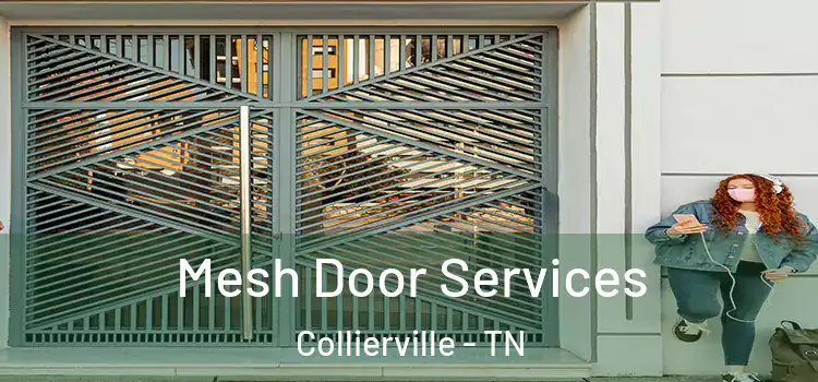 Mesh Door Services Collierville - TN