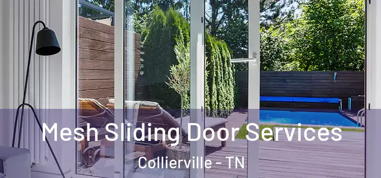 Mesh Sliding Door Services Collierville - TN