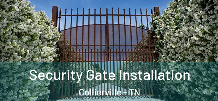 Security Gate Installation Collierville - TN