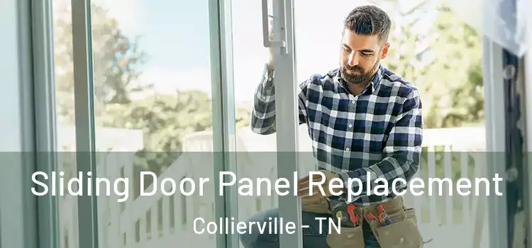  Sliding Door Panel Replacement Collierville - TN
