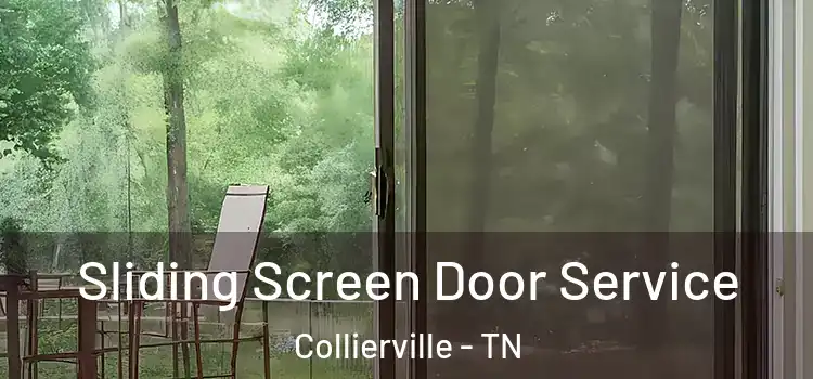 Sliding Screen Door Service Collierville - TN